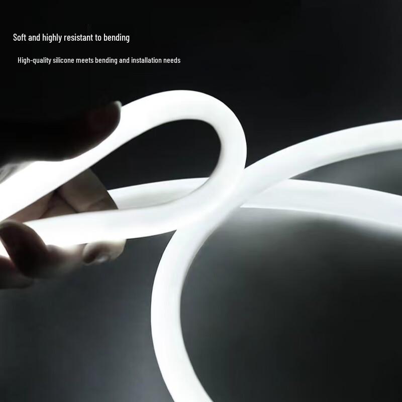 Beigong 360-Degree Luminous Waterproof LED Neon Rope Light
