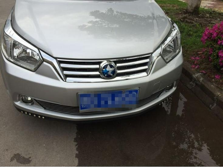 Venucia R50/R50X/D50 Headlight, Taillight, Fog Light, and Side Light Decorative Trim Cover