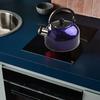 Stylish and Versatile 2L Whistling Kettle Stovetop Stainless Steel