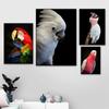 Colorful Parrot Poster Beautiful Bird Wall Art Animals Pictures Canvas Print Living Room Home Aesthetics Decor Painting Cuadros