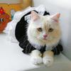 Dog Costume Dress Cat Clothes Cute Clothing Outfits Small Animal Lace Decors Apparel for Girl Cat Puppies Small Dogs