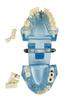 Teeth Repair Model Disease Dental Implant Restoration Bridge Study Model Dentist Demonstration Models For Patient Education