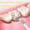 Electric Teeth Whitening Dental Calculus Scaler Plaque Coffee Stain Tartar Removal High Frequency Sonic Toothbrush Teeth Cleaner
