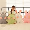 Nouveau lapin mignon en fourrure de lapin Dudu poupée lapin peluche jouet lapin donne poupée de chiffon coussin de jet cadeau pour fille