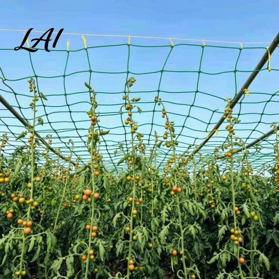 Trellis Netting for Tomatoes Climbing Plants Heavy Duty Plastic Garden Flexible Mesh Potted Plants Netting Plant Support Net Cucumbers Peas