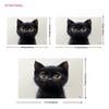 2D Cute Black Kitten Backdrop Pet Lovers Photography Decoration