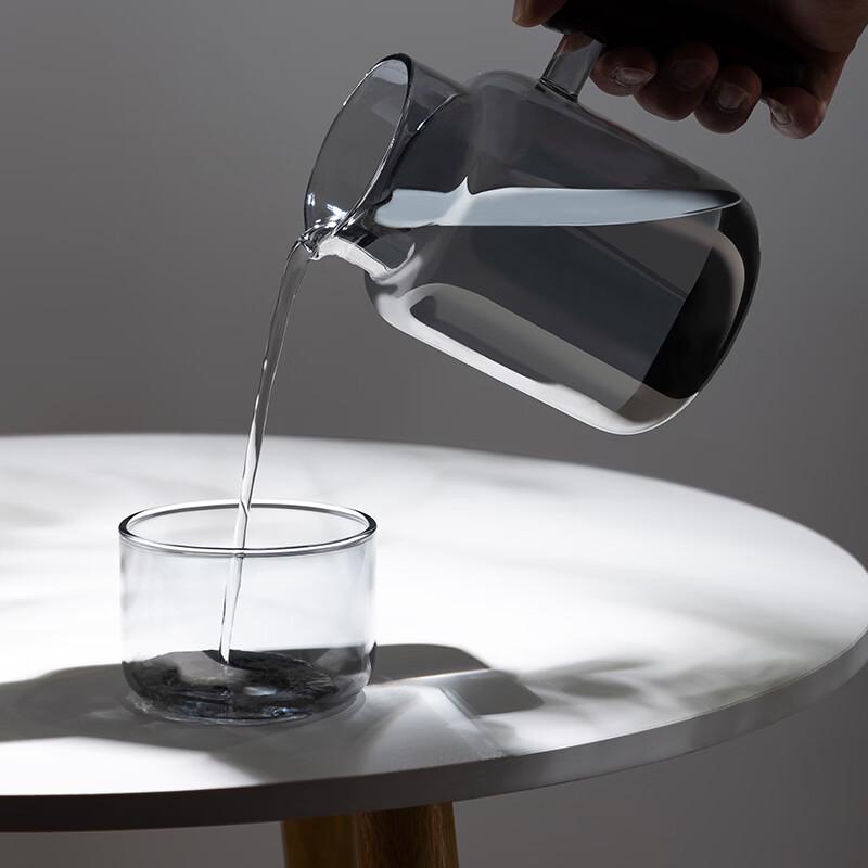 Mountain Perch High Borosilicate Glass Teapot Set