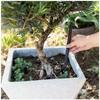 20/10Pcs Plant Aeration Tubes for Pots -Root Rot Prevention,Prevent Overwatering for Healthy Roots, Gardening Tools Suitable