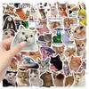 50pz Adesivi Carini di Gatti Meme Divertenti & Sarcastici Design di Gatti Espressivi Perfetti per Diari Laptop Adesivi di Gatti di Qualità Artigianale