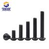 10.9 Grade Black Pan Head Inner Hex Screw Bolt, Mushroom Head, Sizes: M2-M8