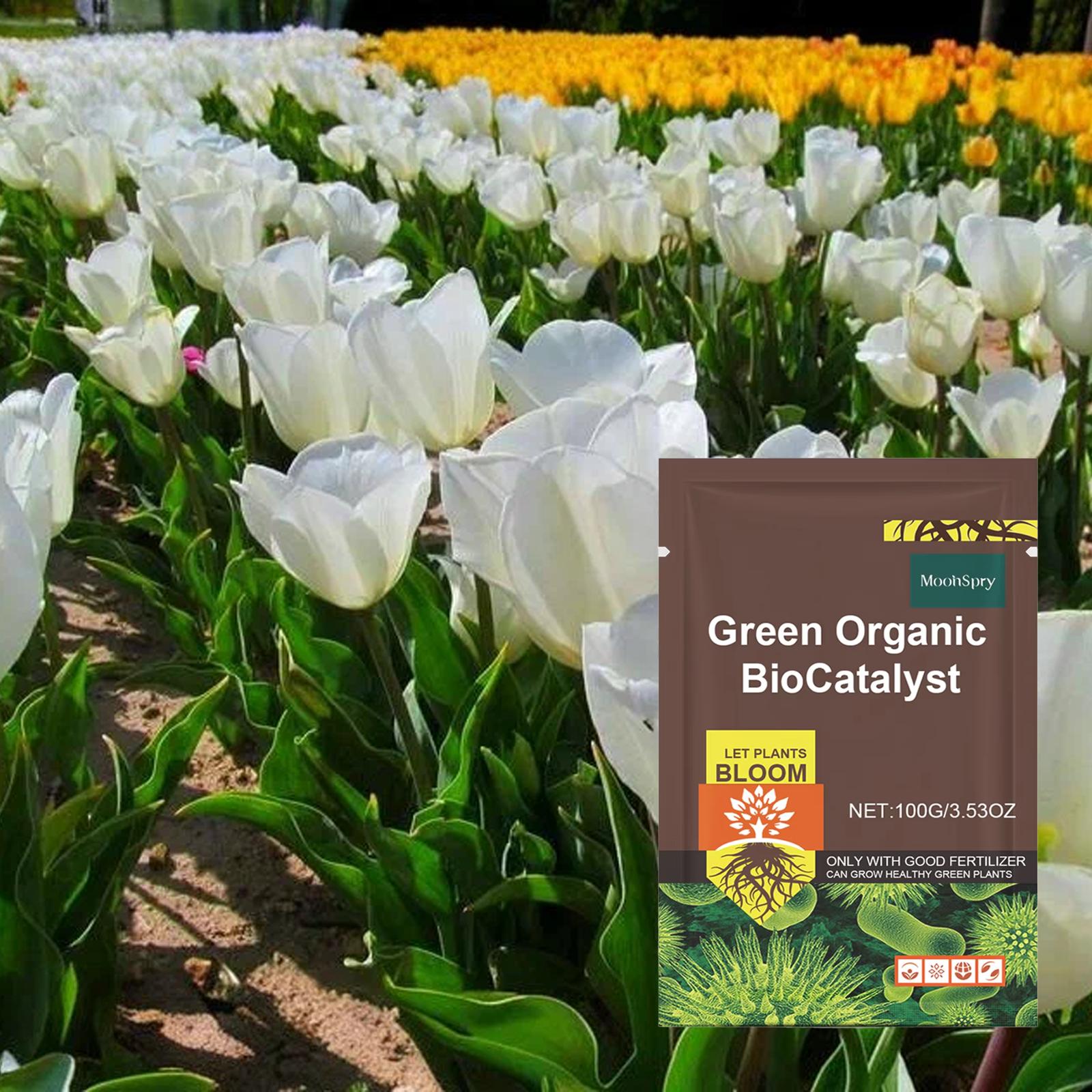 

Plant Growth Enhancer Rooting Powder Soil Activator Nutrient Rich Flower Fertilizer for Improved Hormone Function 100g