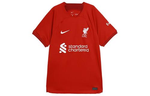 Nike Soccer Jersey Men s Dark Red DM1843-609 S красный