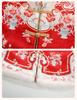 2025 Winter New Year's Princess Hanfu Dress for Girls