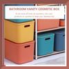 Plastic Storage Box Stackable Countertop Organizer with Lid for Makeup Skincare Products Desktop Tidiness Smooth Finish