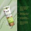 WOW Skin Science Neem Face Wash 150 Ml | Purifies Oily Skin, Unclogs Pores, Reduces Acne Breakouts, Hydrating Cleanser for Clear, Smooth  Skin