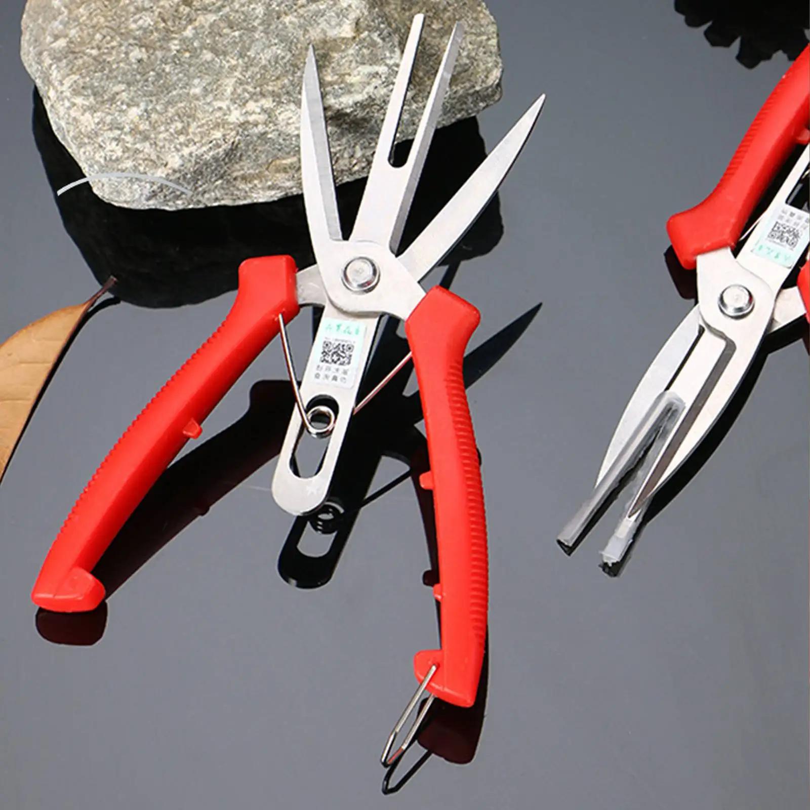 

SK5 Carbon Steel Double-Port Fruit and Flower Thinning Shears Garden Pruning Shears Garden Tools 65 (mm) Hand Tools Scissors червоний