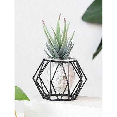 Transparent Flower Arranger Decorative Home Decoration Water Green Plants Home Decoration Vase Decoration Black
