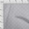 oneOone Cotton Flex Fabric Artistic Floral Sashiko Print Sewing Fabric BTY 40 Inch