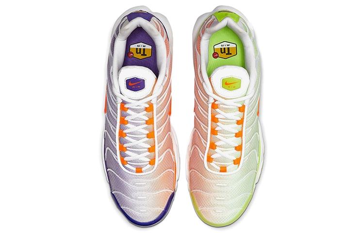 Nike Air Max Plus Color Flip Pack Grape CI5924-531