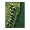 Modern Minimalist Pastoral Frameless Canvas Poster, Green Background with Sheep Herd, Wall Mural for Home Decor