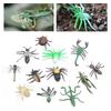 12pcs Assorted Lifelike Bugs Model Children Educational Simulation Insect Model ToyS