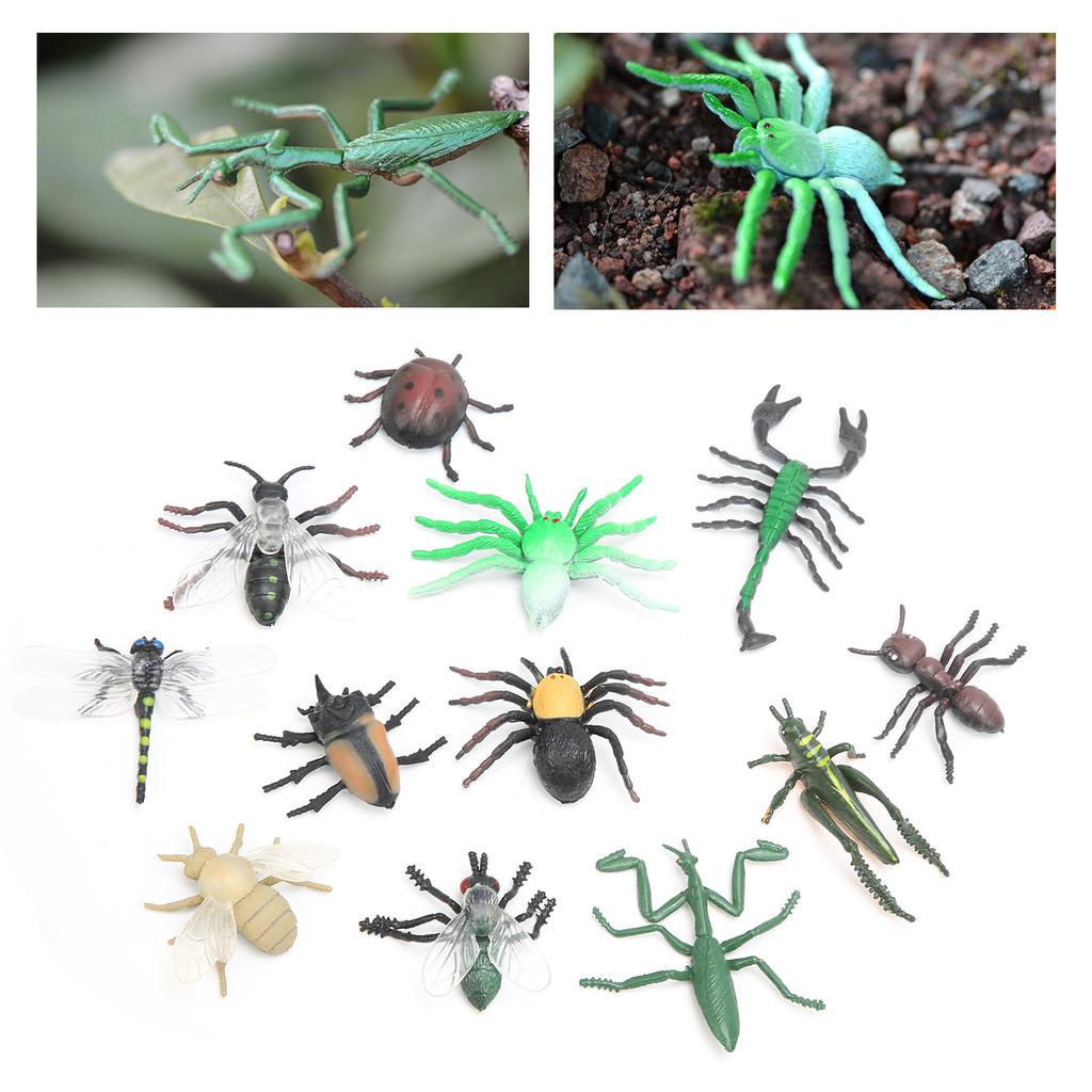 12pcs Assorted Lifelike Bugs Model Children Educational Simulation Insect Model ToyS