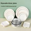 ZISIZ Disposable Rectangular Paper Plates