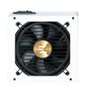 ZALMAN TeraMax II 1000W 80PLUS GOLD Certified, Fully Modular, ATX3.0 Compatible, 7-year Warranty, 1000W PC Power Supply Unit, White, ZM1000-TMX2 WH PS