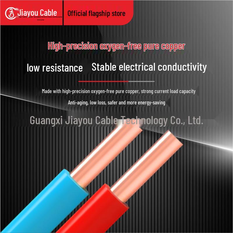 JiaYou Pure Copper BV Single Core Electric Wire, 100m - Hard Wire for Home, BV 1.5/2.5/4/6 Sq Mm