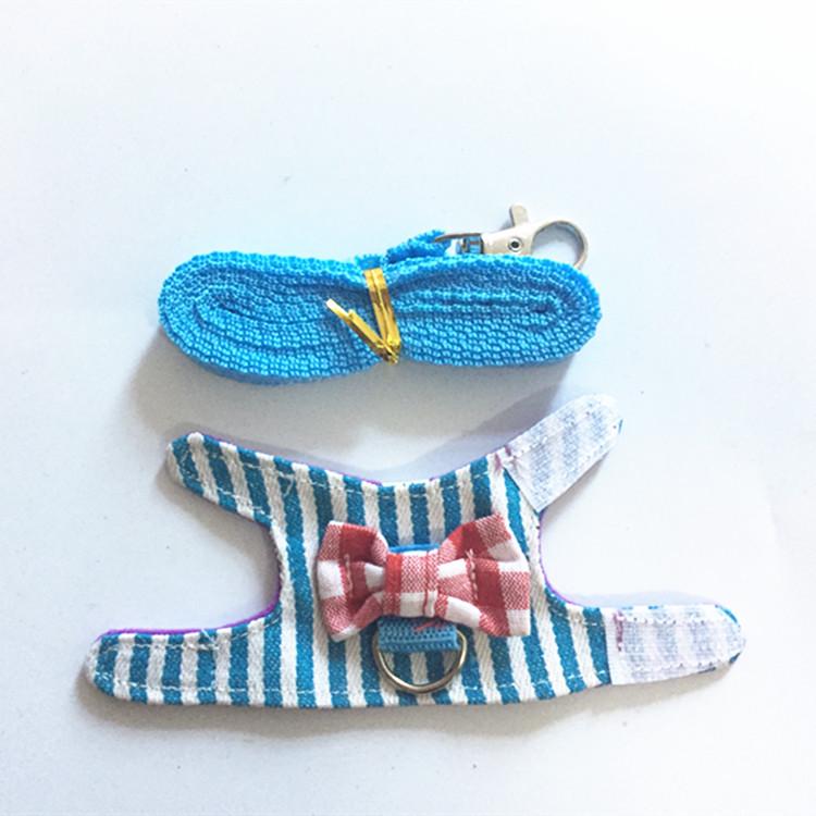 Adjustable Leash and Harness for Small Pets: Rabbit, Chinchilla, Ferret, Squirrel, Hamster, Guinea Pig, Mouse