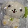 [Same-day Shipping] NCT Wish Bakery 30cm Wish Doll Ryongryong Brand New Product
