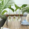 Kreativ treramme Hydroponic Plant Container Glass Pære Vase Hjem Bord Dekor Vaser Begerglass Plantekar Bonsai