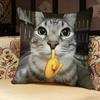 Cat Funny MEME Pillow Case Pillowcase Doublesided Printed Sofa Cushion Bedroom Headboard Pillow