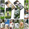 Soft Cover for Apple iPhone 17 16 14 15 Pro Max Plus 15+ 16E XR ProMax Air 16+ Coque Phone Case Poodle Bichon Frise Dog