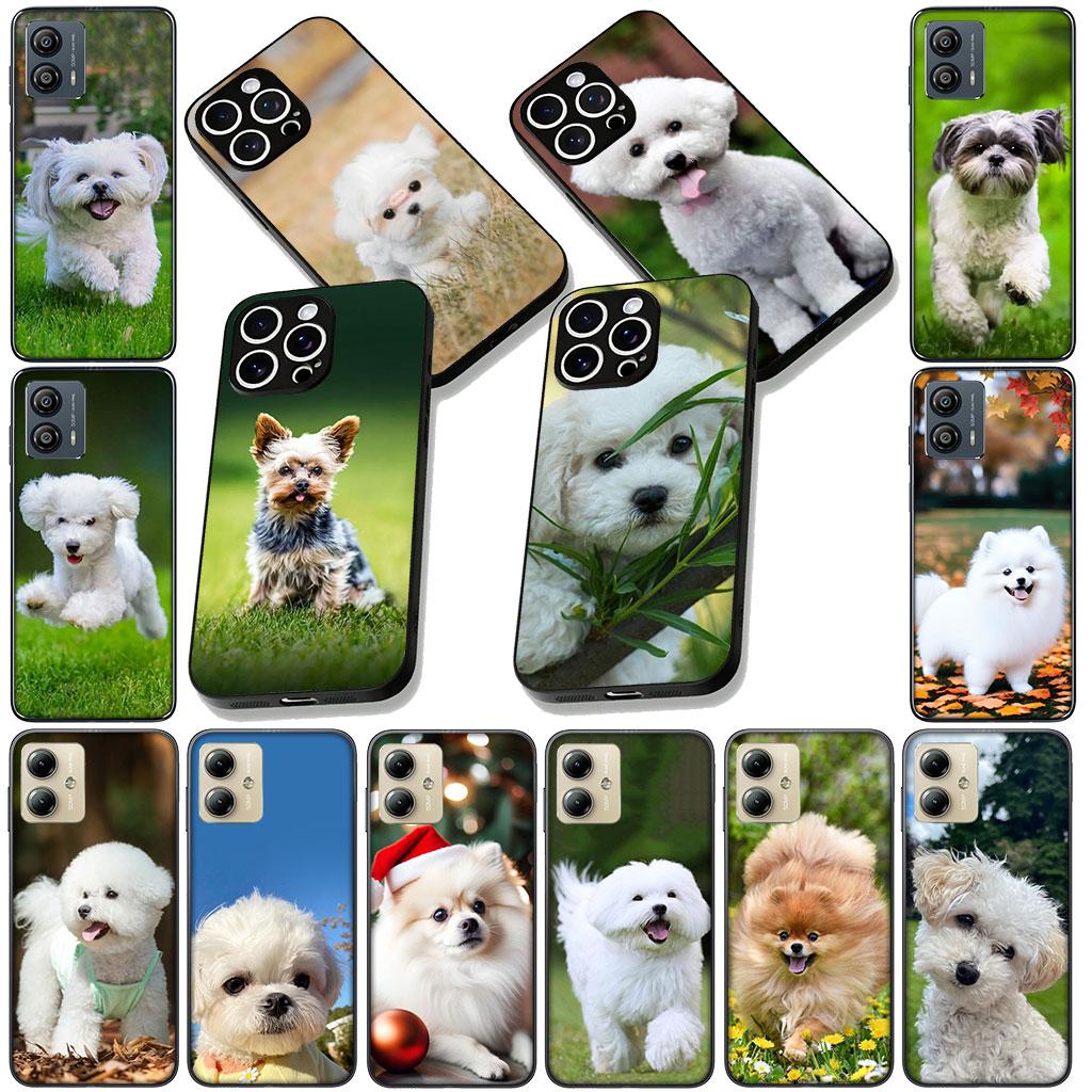 Měkký kryt pro Motorola Moto G86 G14 G35 G34 G45 G55 G64 G75 G85 G24 G15 G54 G57 Power Coque Pouzdro na telefon Pudl Bišonek