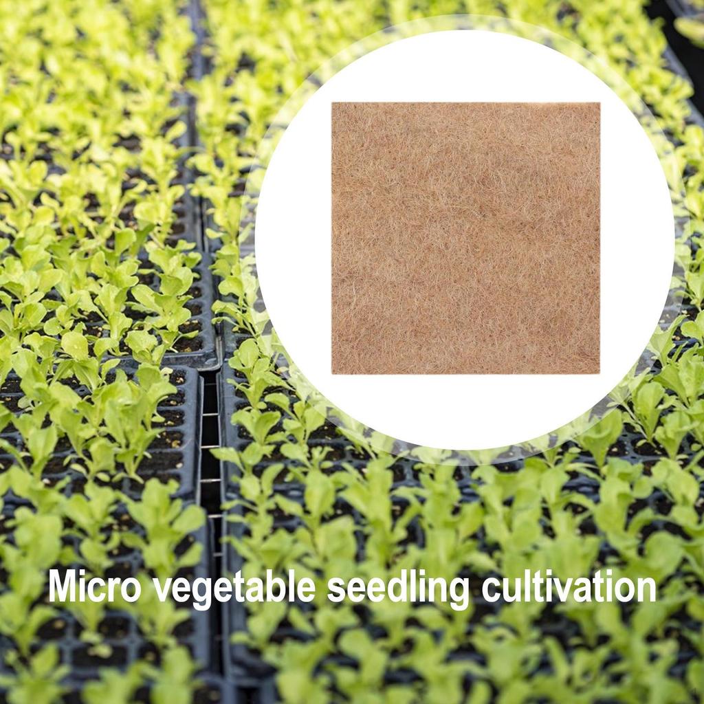 5 Pieces Grow Mat Hydroponic Growing Pads S Propagation