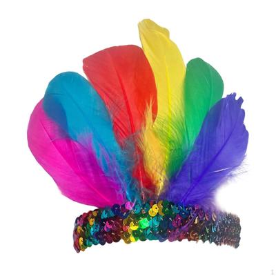 Feather Headband Decoration Headpiece for Party Dance Stage Show Cosplay