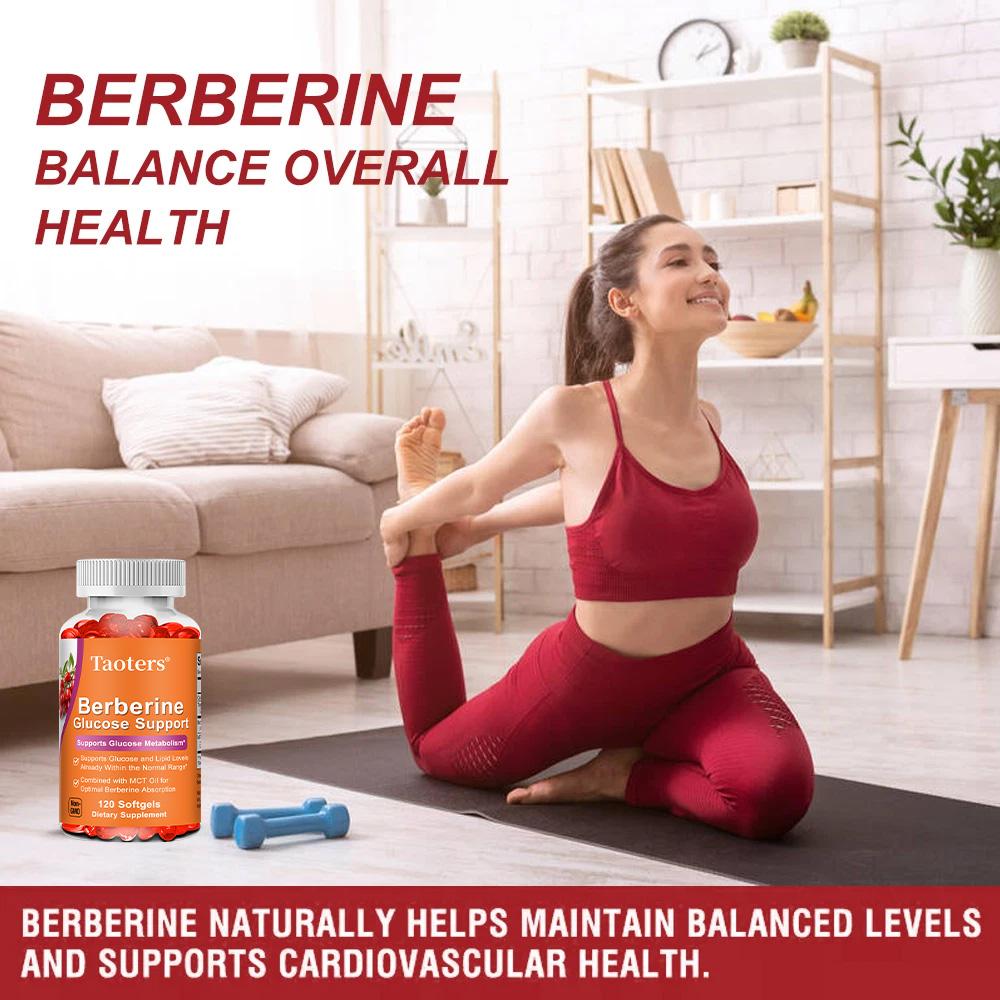 Taoters Berberine Hydrochloride Oil Soft Capsules Maintain Cardiovascular Health 120 Capsules