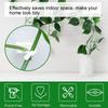 100PCS Plant Climbing Wall Fixture Wall Vines Fixing Clip Self Adhesive Branch Fixture Securing Clip