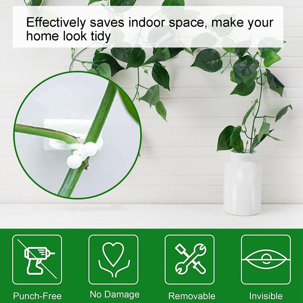 100PCS Plant Climbing Wall Fixture Wall Vines Fixing Clip Self Adhesive Branch Fixture Securing Clip