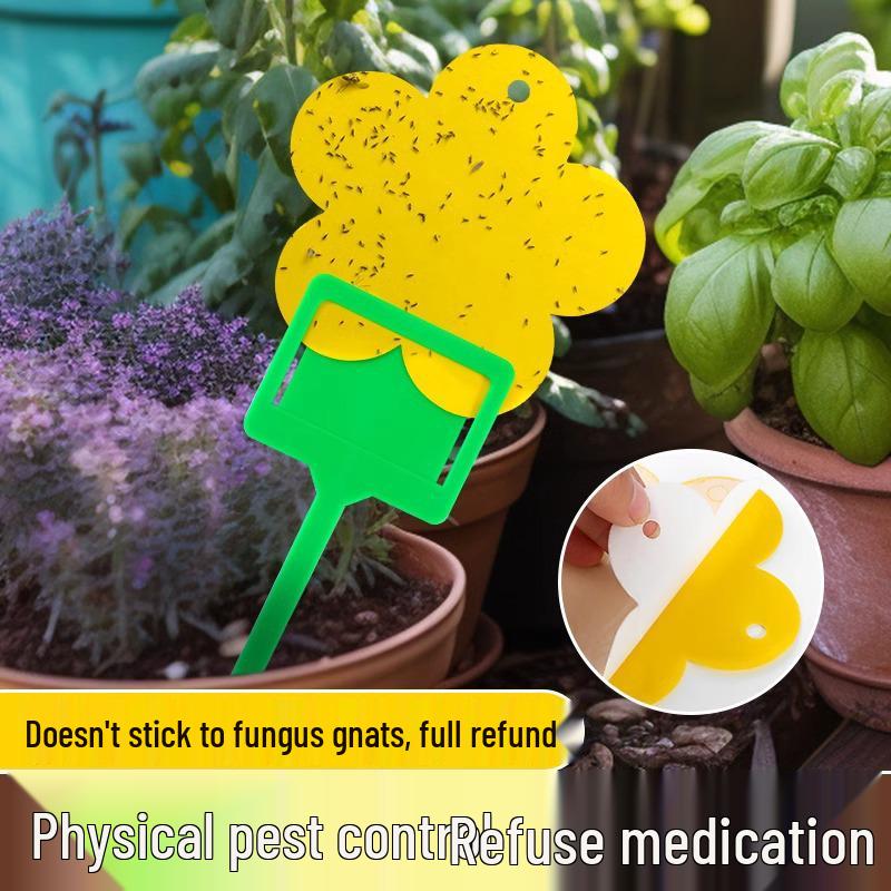 Gele en Blauwe Dubbelzijdige Kleefvallen voor Kleine Vliegjes - Binnen Zomergebruik