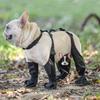 Waterproof Dog Shoes Adjustable Pet Boots for Outdoor Walking Rain Day Paw Protection Soft French Bulldog Booties Dog Show S/M/L