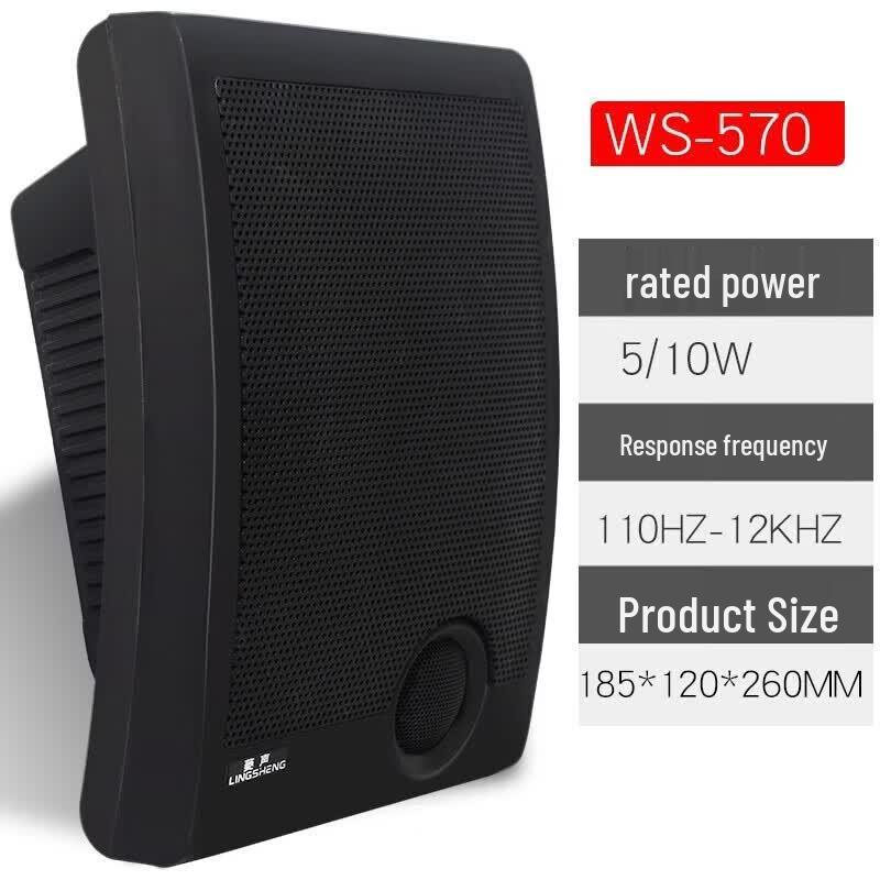 LINGSHENG 200W Bluetooth Public Address System (CN version)