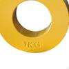 Fractional 0.25/0.5/0.75/1kg Micro weight Training plate