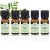 [OFK44354] Peppermint Massage Essential Oil (9 Types) (12126869)