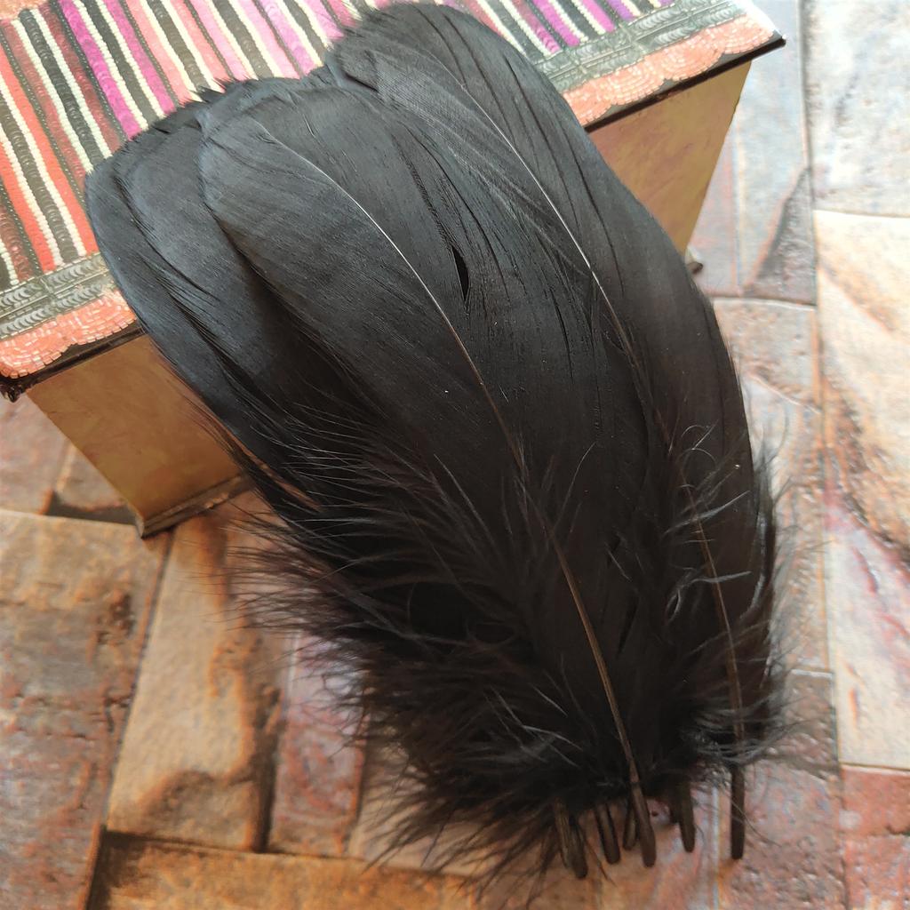 20pcs Natural Goose Feathers 31 Color Loose Goose Feathers 12-20cm Long Christmas Decoration Clothing Shoes Hat Accessories