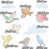 Decorative Stickers for Children - Birds