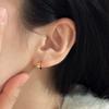 925 Silver Essential Mini Ring Earrings_2 Colors