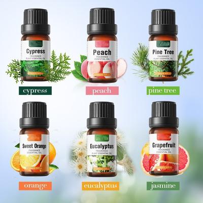 Plant Essential Oil Set 10ml Each Natural Fragrance Therapy Aromatherapy Body Oil Spa Massage Gift Set Export Wholesale