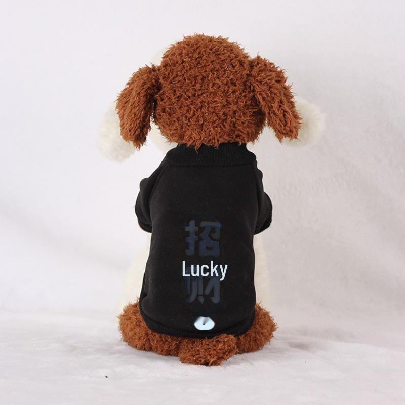 Autumn/Winter Sweatshirts for Cats & Small Dogs - Teddy, Corgi, Bichon